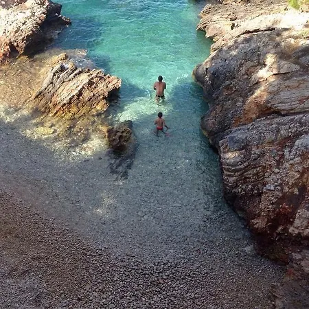 Teja Rogač